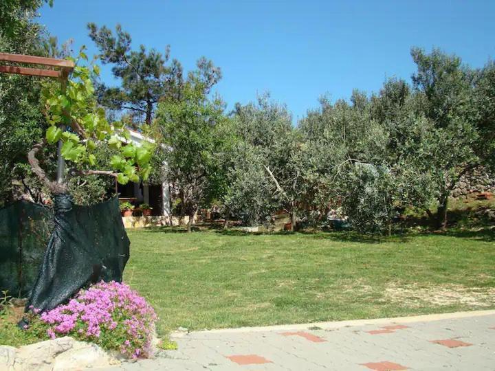 Apartments Davorka Šimuni Εξωτερικό φωτογραφία